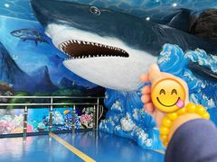 -多彩贵州城极地海洋世界