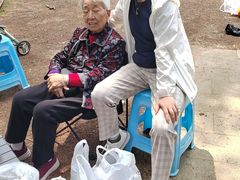 -铁山坪森林公园