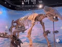 -辽宁古生物博物馆