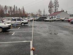 -安飞驰驾校·学车连锁(金高店)