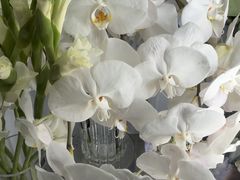 -花辰月夕花坊(北滨路店)