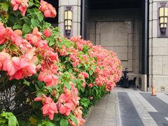 -西贡日航酒店