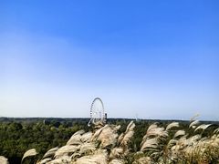 -南戴河国际娱乐中心