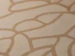 -张记炸串肠粉