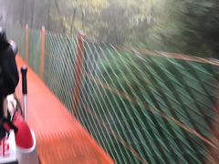 -藏龙百瀑风景区