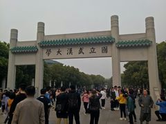 -武汉大学-樱园