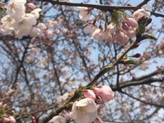 -老味道民宿(栈桥店)