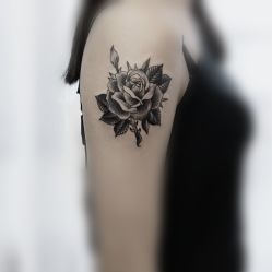 -明星刺青·洗纹身