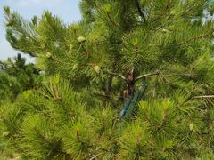 -鄂尔多斯野生动物园