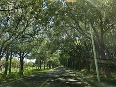 -同里国家湿地公园