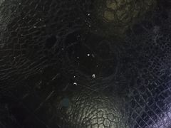 -温莎KTV(珠江路店)