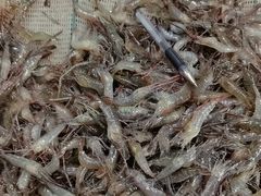 -岳各庄批发市场(西四环中路店)