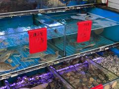 -金海湾海鲜排档(朱家尖店)