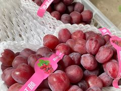 -马陆小张葡萄园农家乐