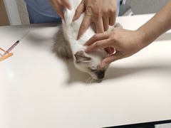 -谐和贝康宠物医院24小时·宠保定点(急重症转诊中心)