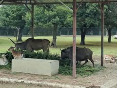 -西安秦岭野生动物园