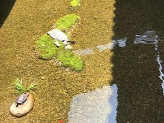 -几荷·恰似故人来(秀水广场店)