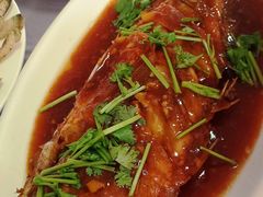 -东戴河风景区-止锚湾