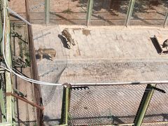 -青藏高原野生动物园