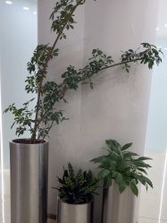 -AIST爱思特医疗美容医院