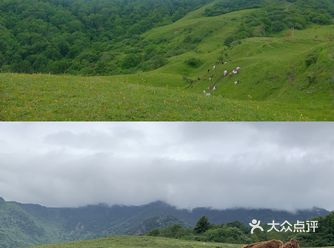 成都周边游｜甘海子赏秋攻略