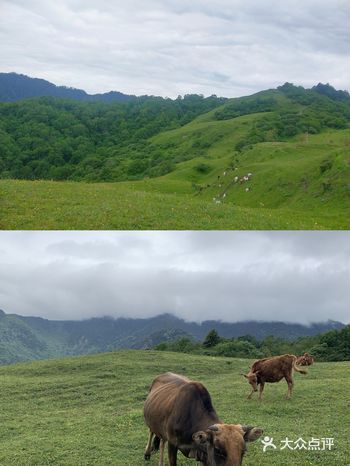 成都周边游|甘海子赏秋攻略