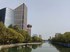 -三里屯东五街银杏大道