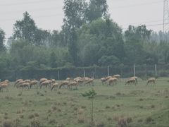 -溱湖国家湿地公园