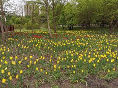 -长春公园(普阳街道)