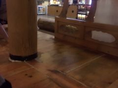 -纽斯桑拿会所(餐厅天山路店)