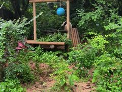 -深圳野生动物园