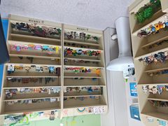 -中山大学附属第五医院