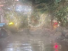 -张家港金凤凰度假村温泉