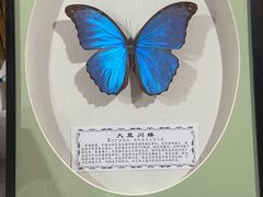 -野象谷景区