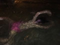 游乐设施-溧阳天目湖天沐温泉