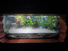 -太平洋海底世界