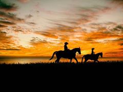 -沈坚强游泳俱乐部(武宁南路店)