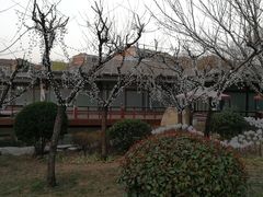 -唐城墙遗址公园