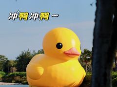 -深圳人才公园