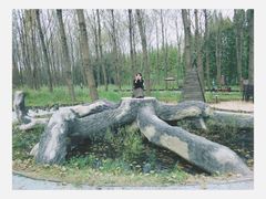 -黄海国家森林公园