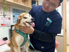 -格蕾宠物医院24H·猫科·肿瘤科·骨科中心(福州总院)