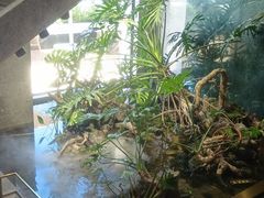 -宴周康·精致江浙菜(周浦店)