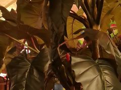 -凯撒城堡西餐厅(颐和国际店)