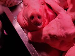 -无锡天鹏食品城