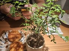 -CURRY YA 熟成咖哩專門店(深圳湾万象城店)