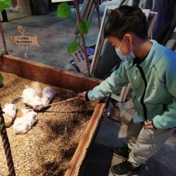 -酷嗒动物文化乐园(cutezoo西溪乐天城店)