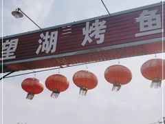 -望湖烤鱼