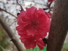 -西安市长乐公园