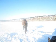 -北极村旅游风景区