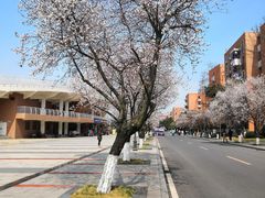 -西南民族大学南区(双流校区)